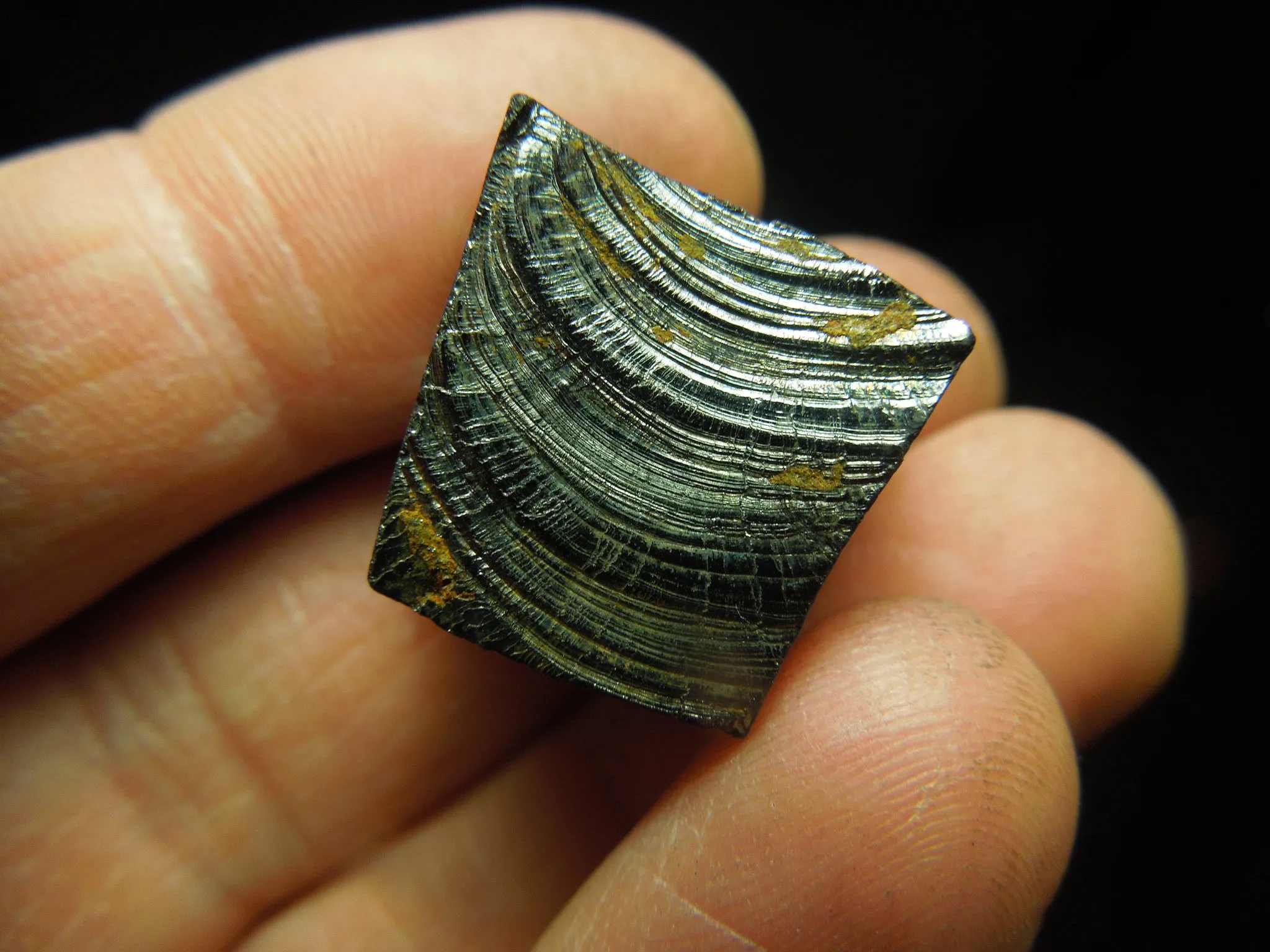 Silver (Noble) Shungite