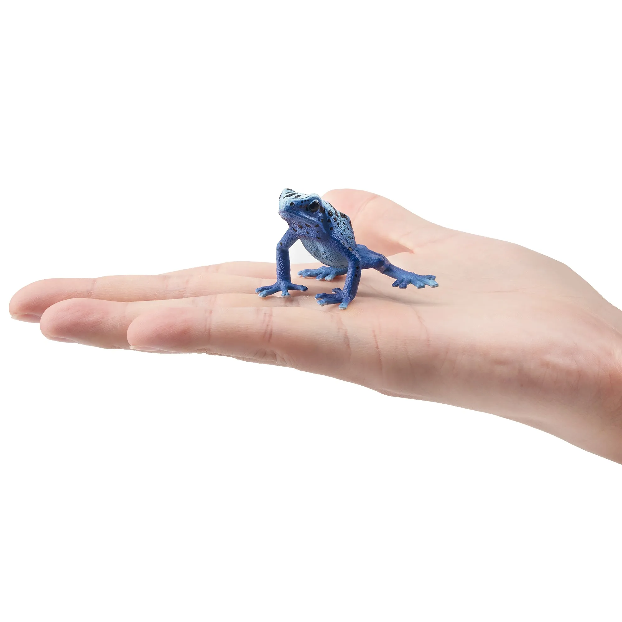 Toymany Blue Poison-Dart Frog Figurine Toy