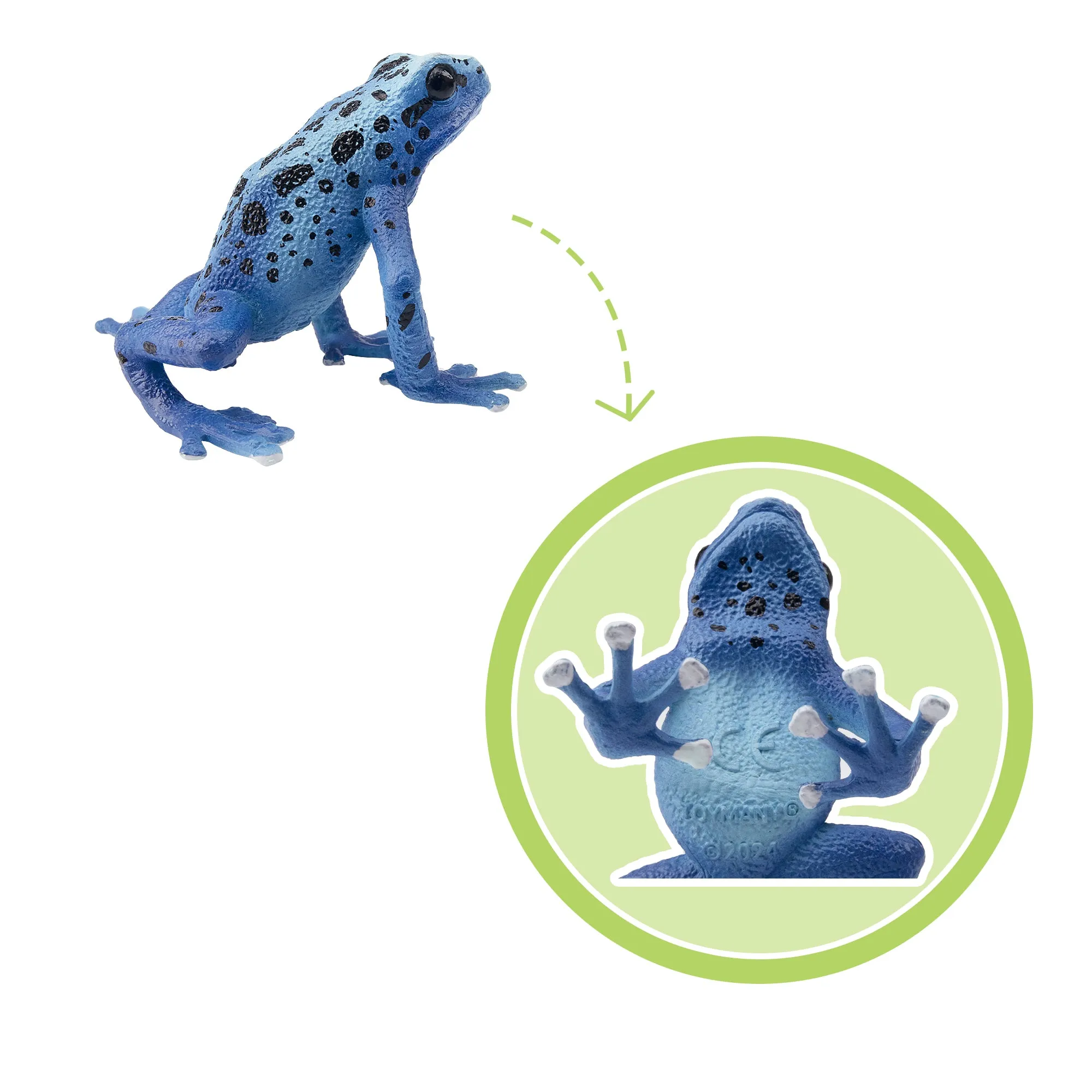 Toymany Blue Poison-Dart Frog Figurine Toy