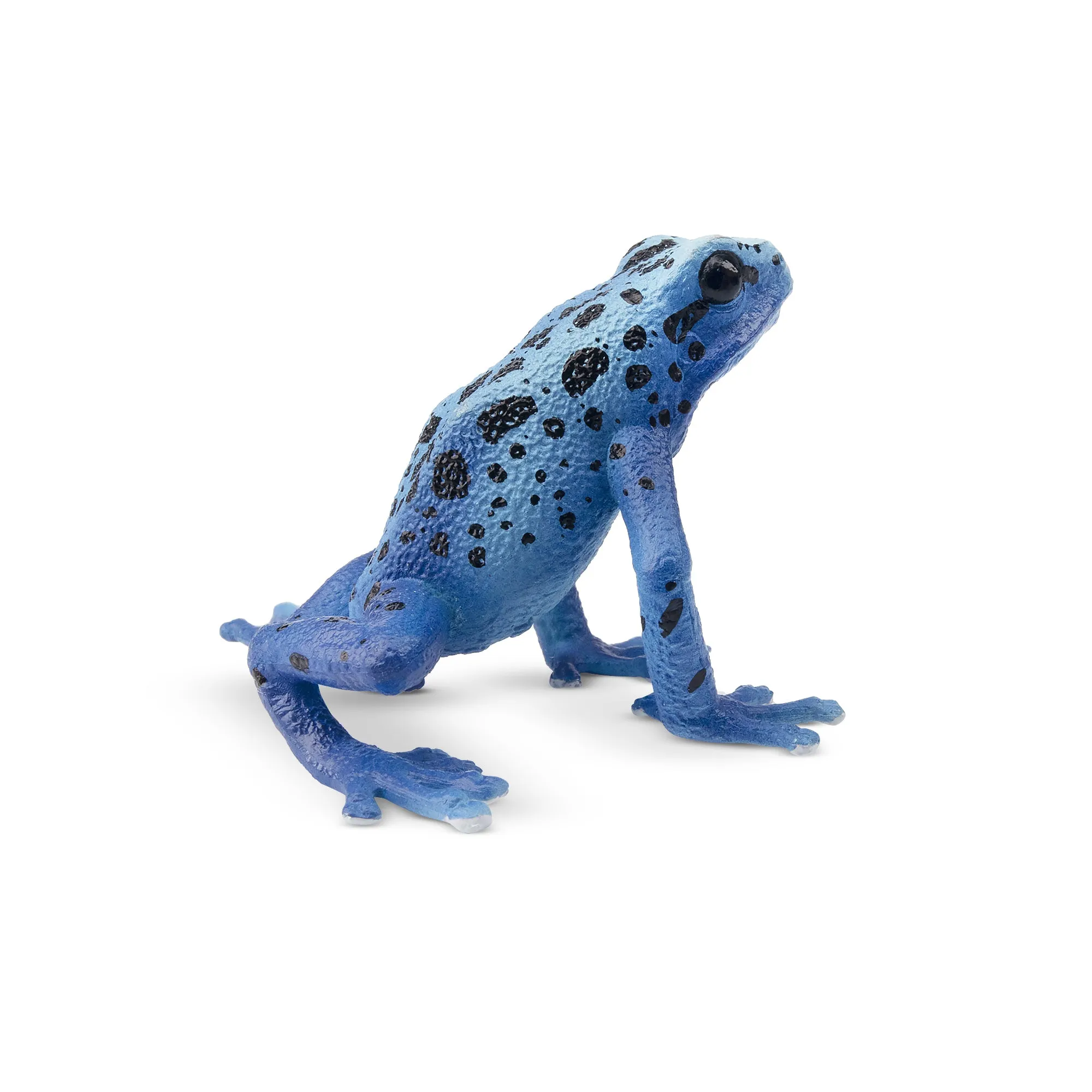 Toymany Blue Poison-Dart Frog Figurine Toy