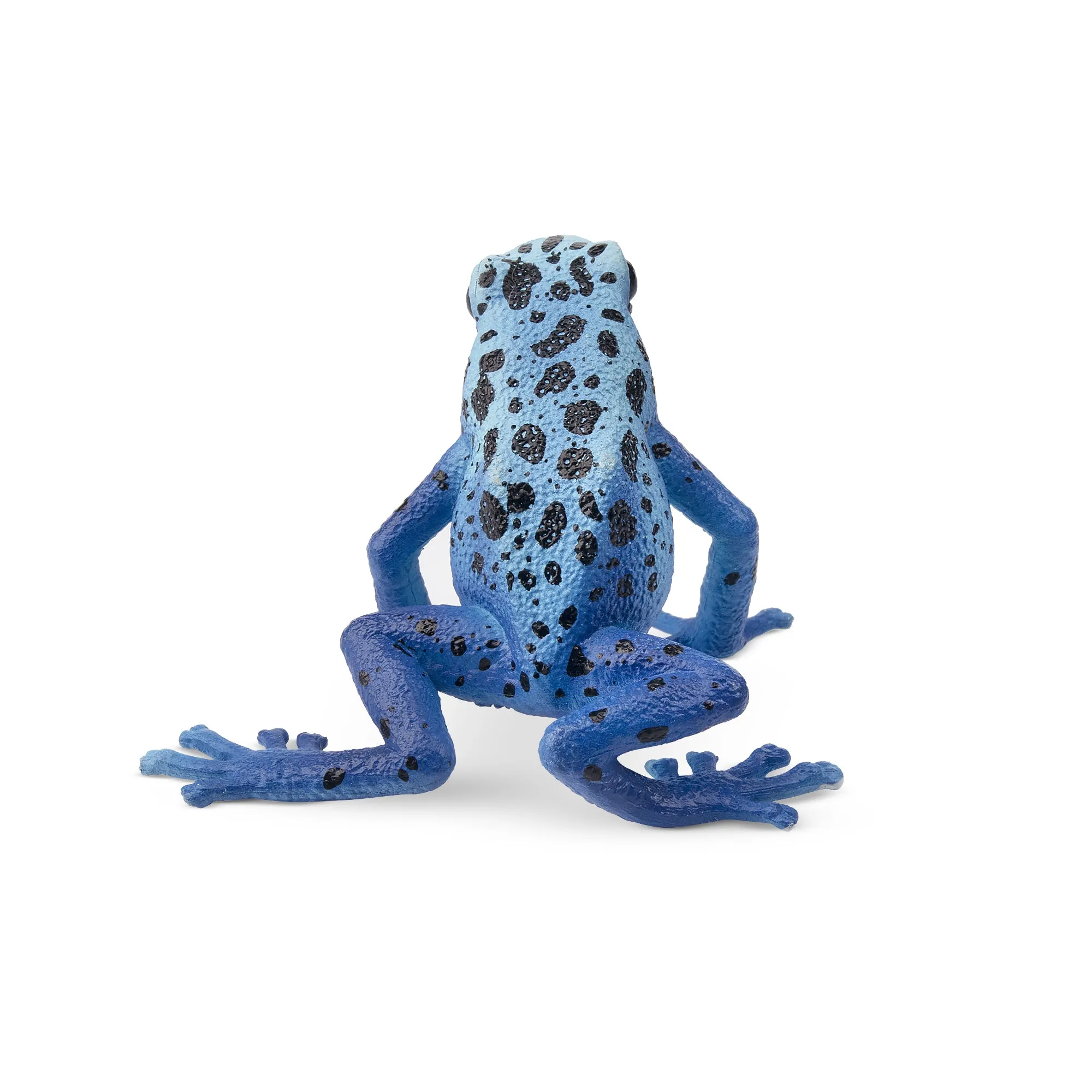 Toymany Blue Poison-Dart Frog Figurine Toy